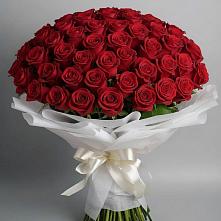 Букет 101 Красная роза Блэк Мэджик в Темникове