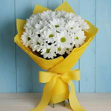 Букет цветов из:  Хризантемы в Темникове