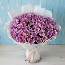 Букет цветов из:  Хризантемы #REPLACE_PRED# Темникове