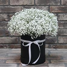 Цветочная композиция из Гипсофила в шляпной коробке в Темникове