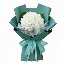 Букет цветов из:  Гортензия #REPLACE_PRED# Темникове